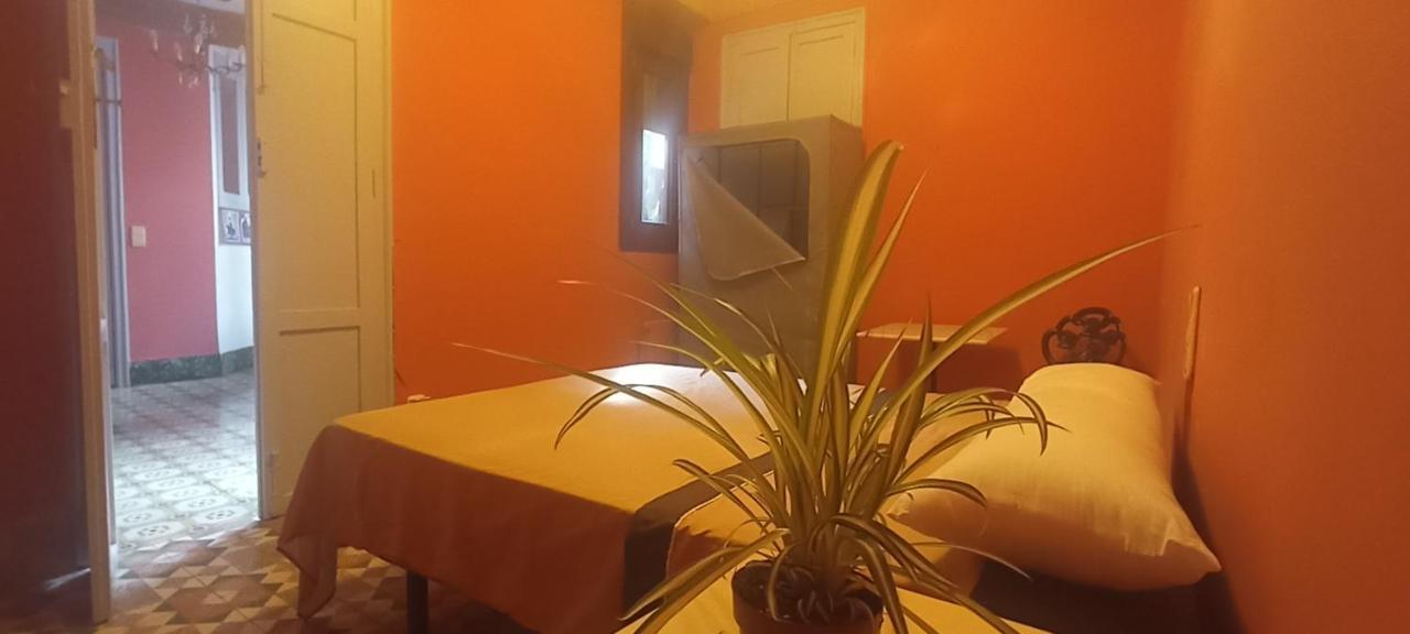 Casa Artistica Bed & Breakfast Gandía Dış mekan fotoğraf