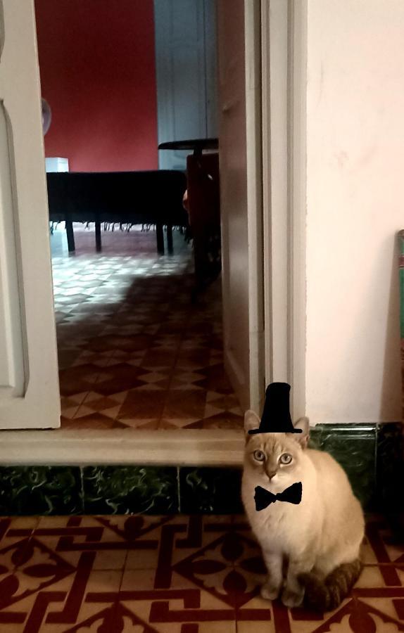 Casa Artistica Bed & Breakfast Gandía Dış mekan fotoğraf
